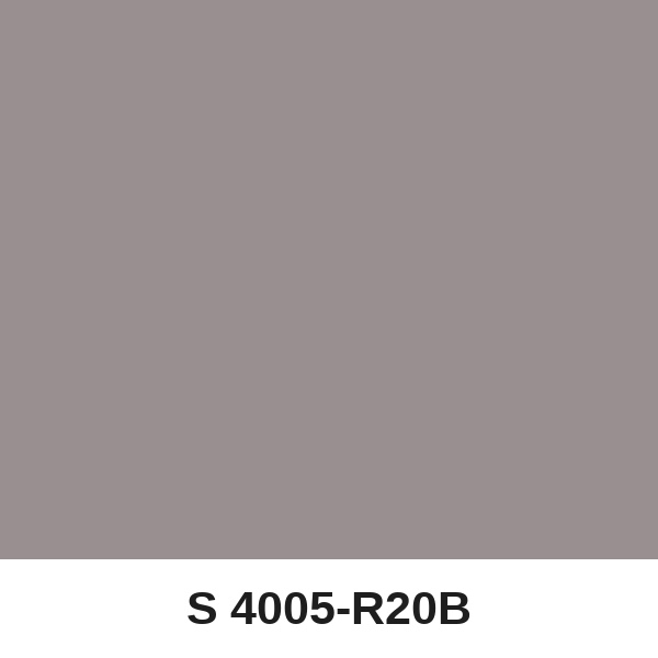 Màu mã S 4005-R20B ( QMNT 960 )