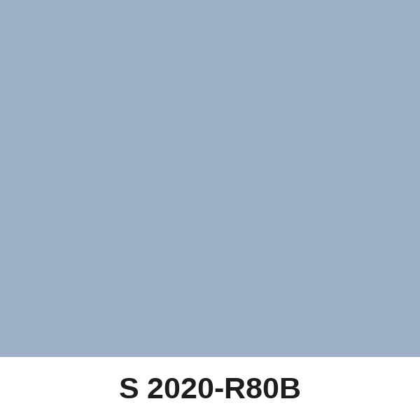 Màu mã S 2020-R80B ( QMNT 960 )