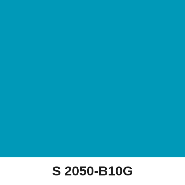 Màu mã S 2050-B10G ( QMNT 960 )