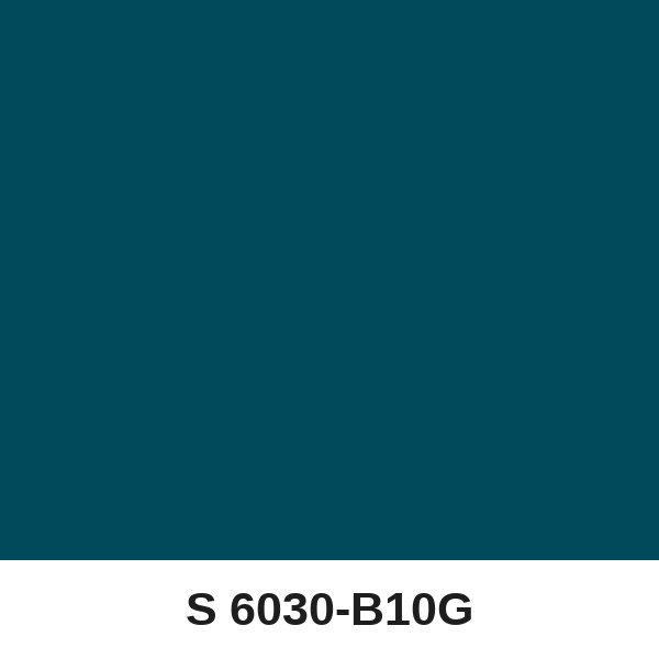 Màu mã S 6030-B10G ( QMNT 960 )