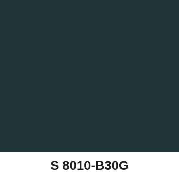 Màu mã S 8010-B30G ( QMNT 960 )