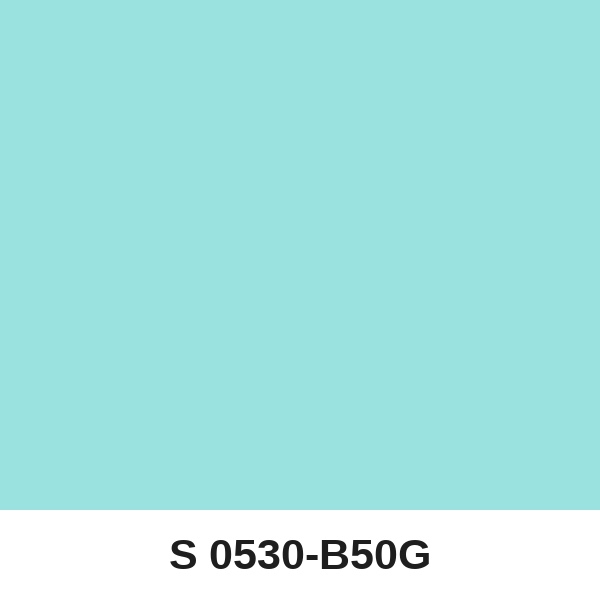 Màu mã S 0530-B50G ( QMNT 960 )