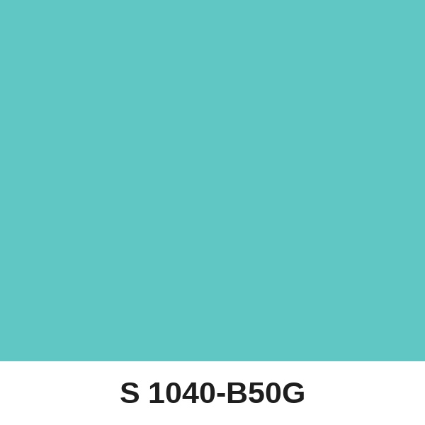 Màu mã S 1040-B50G ( QMNT 960 )