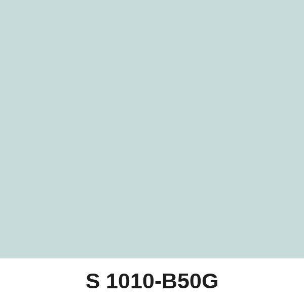 Màu mã S 1010-B50G ( QMNT 960 )