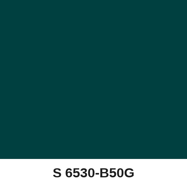 Màu mã S 6530-B50G ( QMNT 960 )