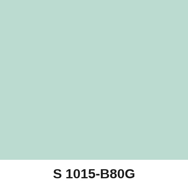 Màu mã S 1015-B80G ( QMNT 960 )