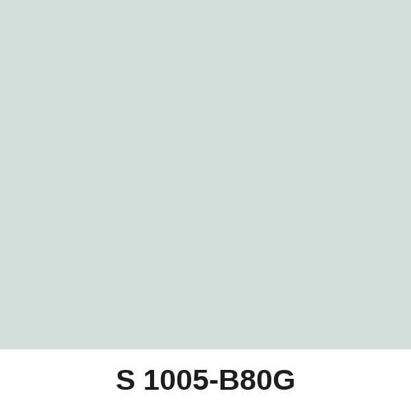 Màu mã S 1005-B80G ( QMNT 960 )