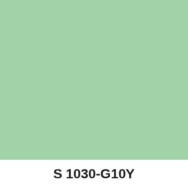 Màu mã S 1030-G10Y ( QMNT 960 )