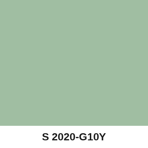 Màu mã S 2020-G10Y ( QMNT 960 )