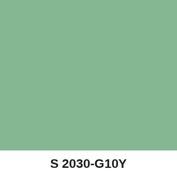 Màu mã S 2030-G10Y ( QMNT 960 )