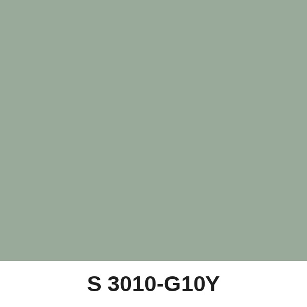 Màu mã S 3010-G10Y ( QMNT 960 )