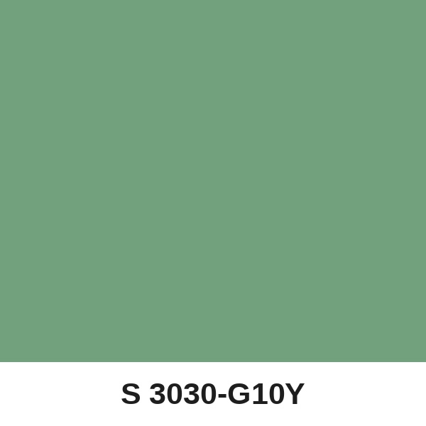 Màu mã S 3030-G10Y ( QMNT 960 )