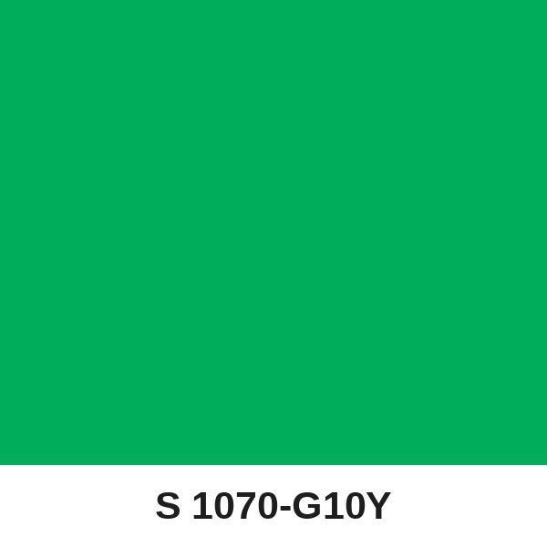 Màu mã S 1070-G10Y ( QMNT 960 )