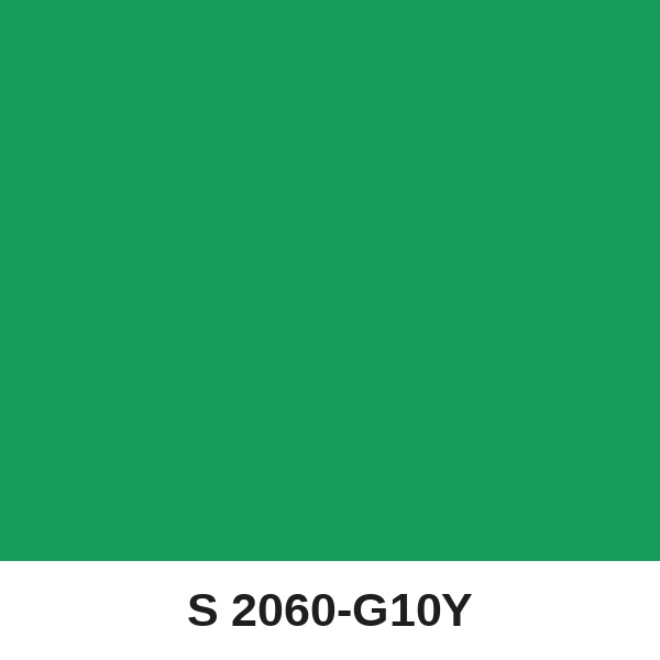 Màu mã S 2060-G10Y ( QMNT 960 )