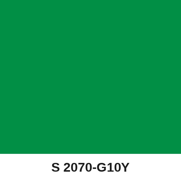 Màu mã S 2070-G10Y ( QMNT 960 )