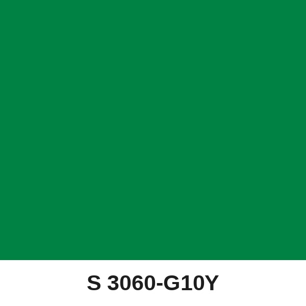 Màu mã S 3060-G10Y ( QMNT 960 )