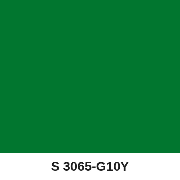 Màu mã S 3065-G10Y ( QMNT 960 )