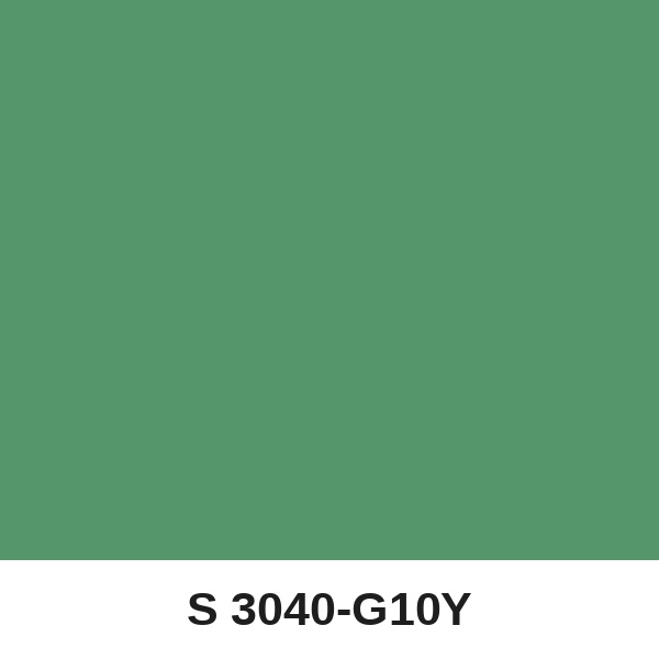 Màu mã S 3040-G10Y ( QMNT 960 )