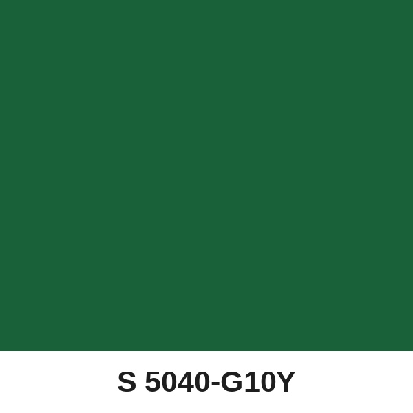 Màu mã S 5040-G10Y ( QMNT 960 )