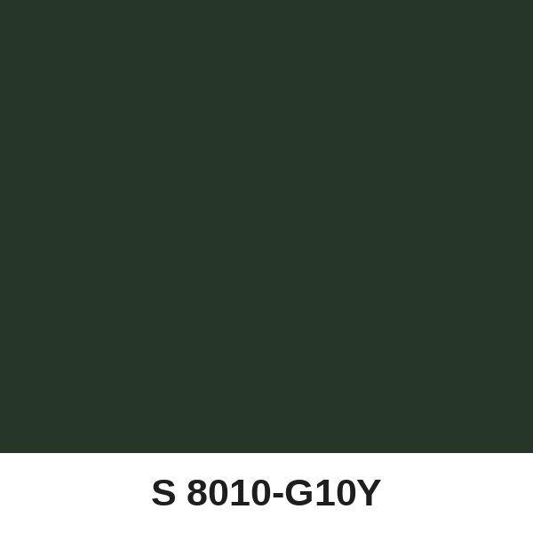 Màu mã S 8010-G10Y ( QMNT 960 )