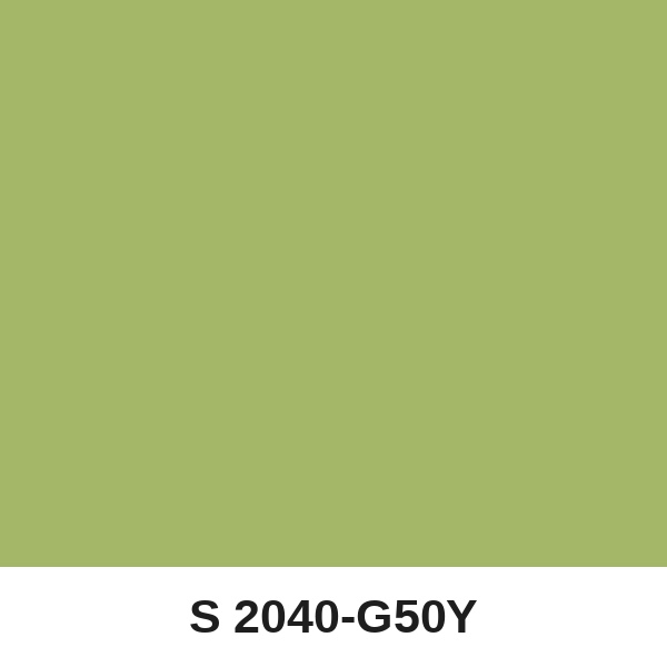 Màu mã S 2040-G50Y ( QMNT 960 )