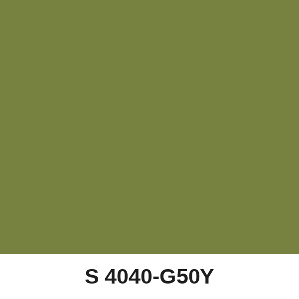 Màu mã S 4040-G50Y ( QMNT 960 )