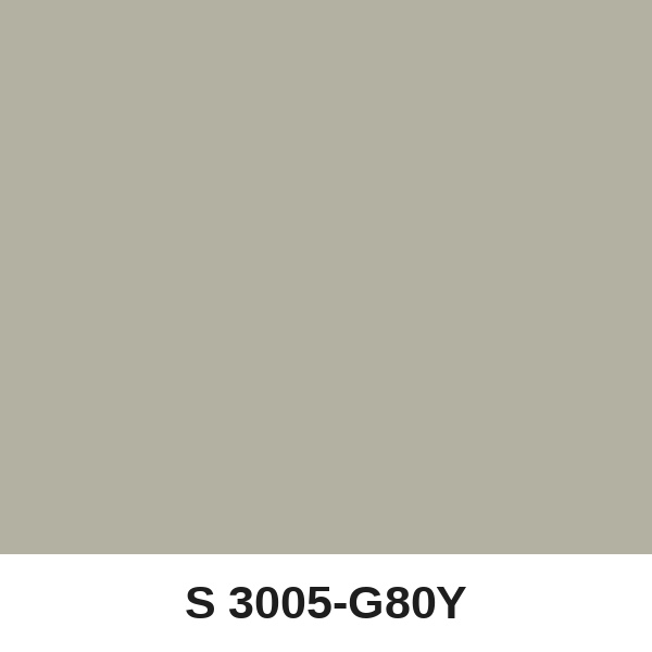 Màu mã S 3005-G80Y ( QMNT 960 )