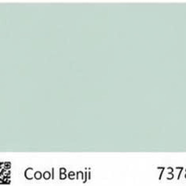Pha màu Mã 7378 (S1010-G10Y)