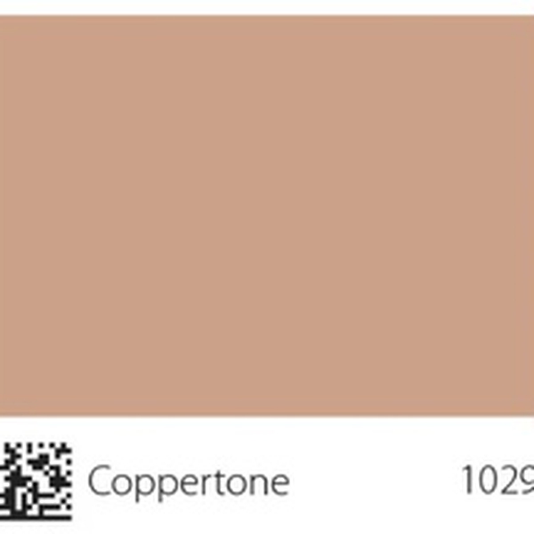 Pha màu Coppertone - mã 1029 (S2020-Y40R)