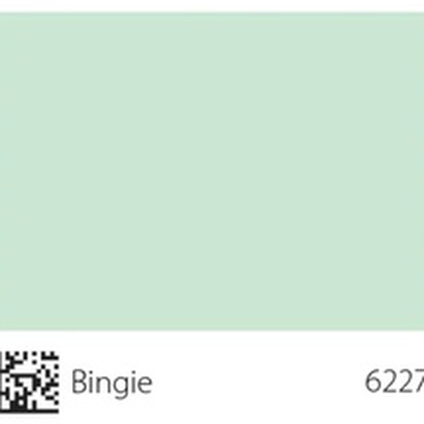 Pha màu Bingie - mã 6227 (S0520-B90G)