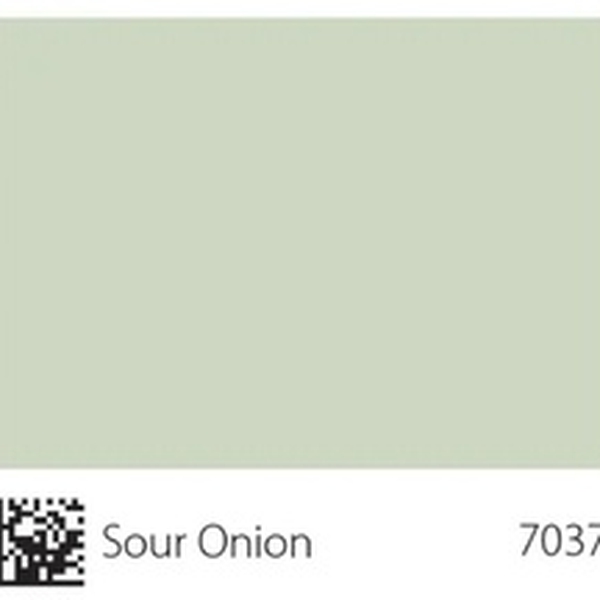 Pha màu Sour Onion - mã 7037 (1308-G18Y)