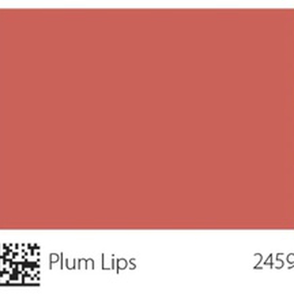 Pha màu Plum Lips - mã 2459 (S3040-Y90R)