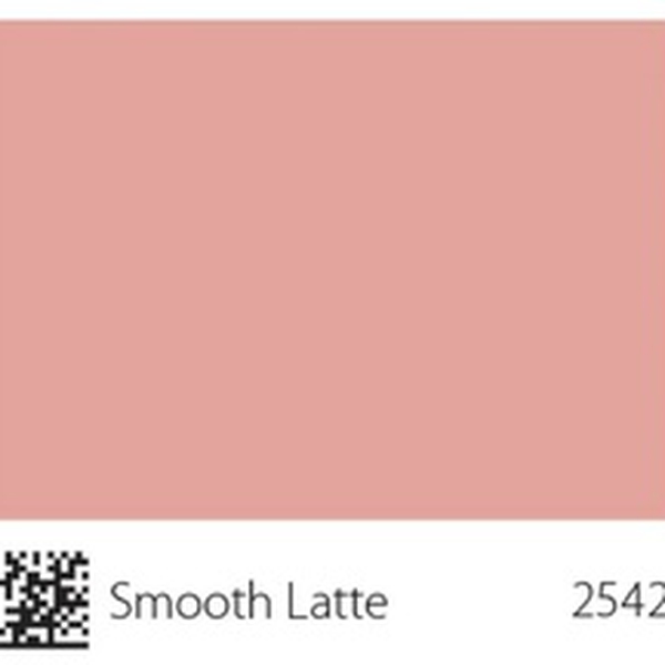 Pha màu Smooth Latte - mã 2542 (S2020-Y90R)