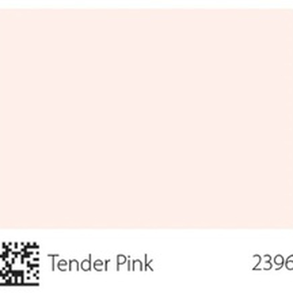 Pha màu Tender Pink - mã 2396 (S0505-Y80R)