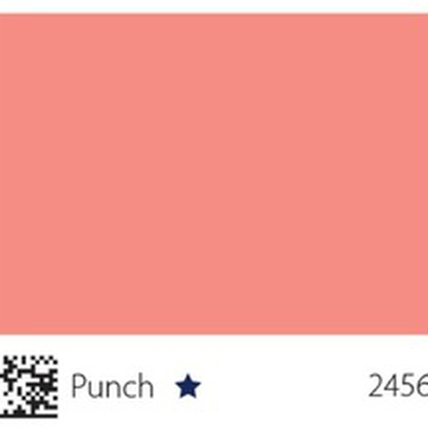 Pha màu Punch - mã 2456 (1060-Y85R)