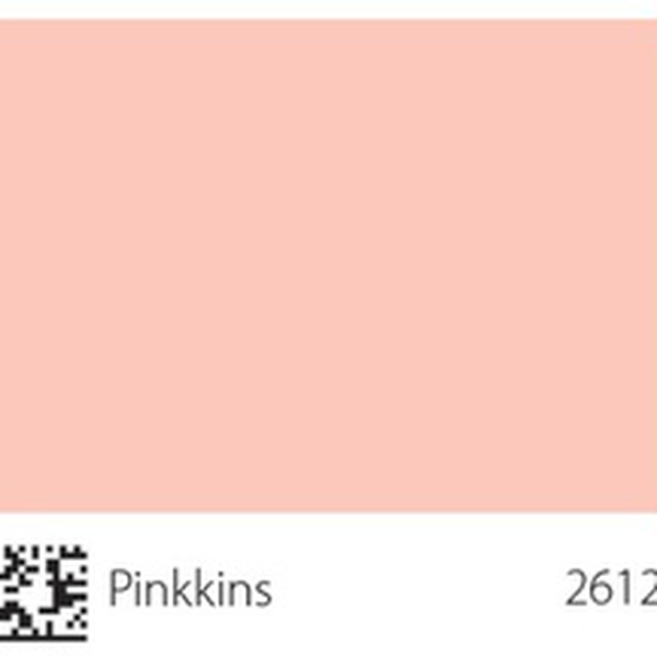 Pha màu Pinkkins - mã 2612 (S0520-Y90R)