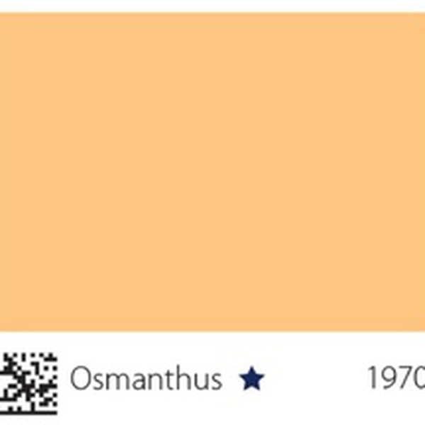 Pha màu Osmanthus - mã 1970 (S1030-Y30R)