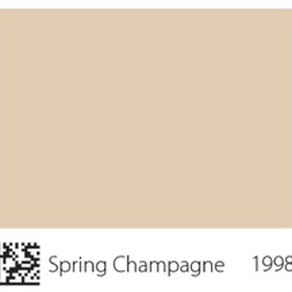Pha màu Spring Champagne - mã 1998 (S1510-Y20R)