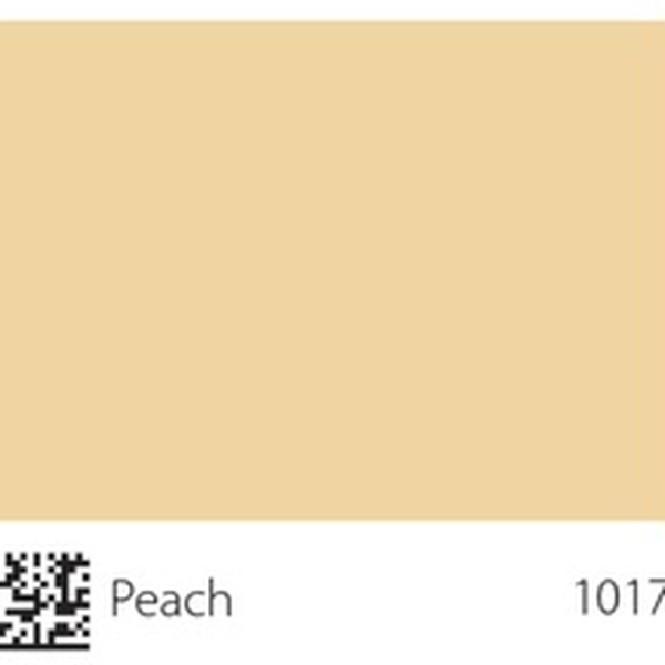 Pha màu Peach - mã 1017 (S1020-Y20R)