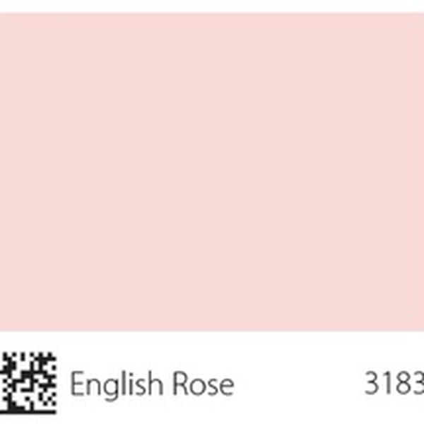 Pha màu English Rose - mã 3183 (S0510-R10B)