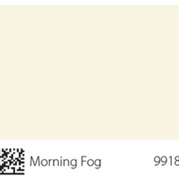 Pha màu Morning Fog - mã 9918 (S0500-N)