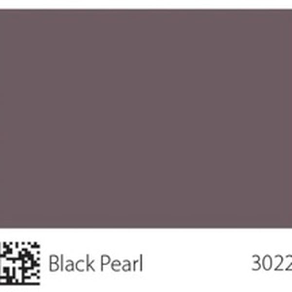 Pha màu Black Pearl - mã 3022 (S5502-R)