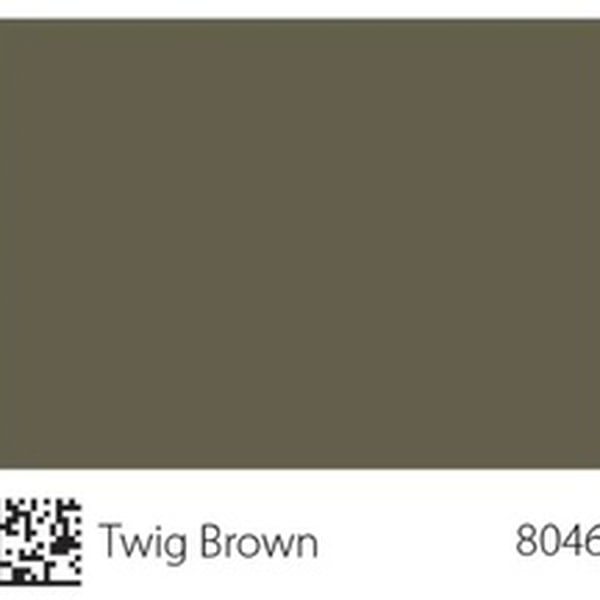 Pha màu Twig Brown - mã 8046 (6211-G90Y)