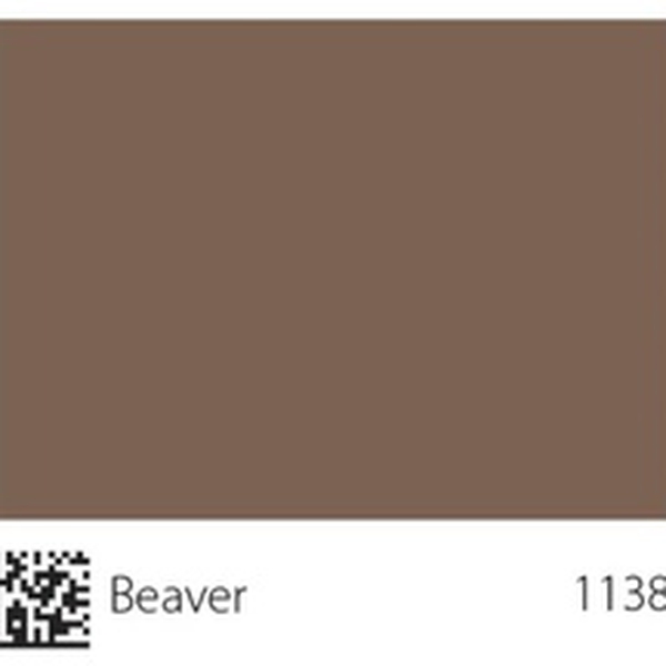 Pha màu Beaver - mã 1138 (6308-Y40R)