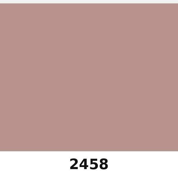 Màu mã 2458 | QMNT 576