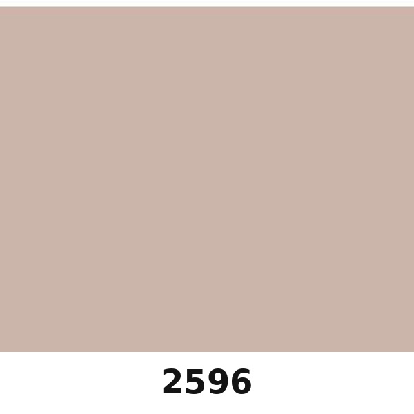 Màu mã 2596 | QMNT 576