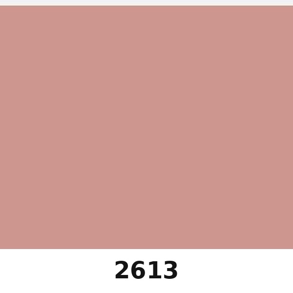 Màu mã 2613 | QMNT 576