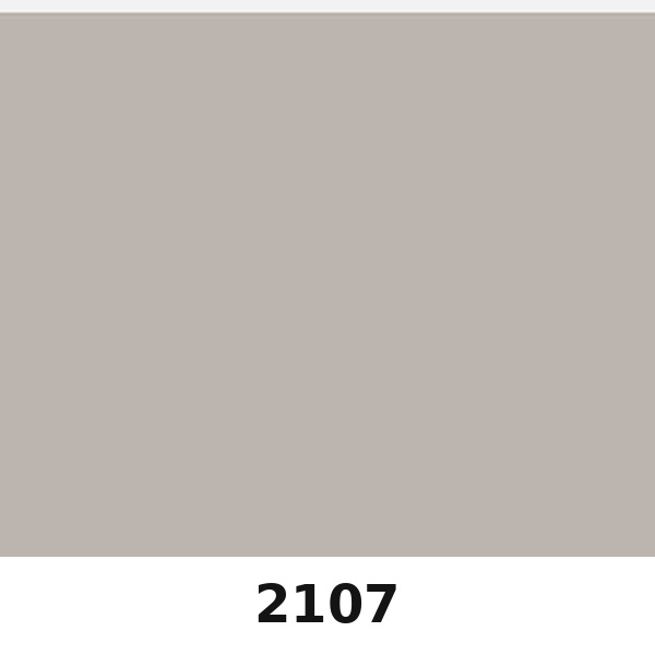 Màu mã 2107 | QMNT 576