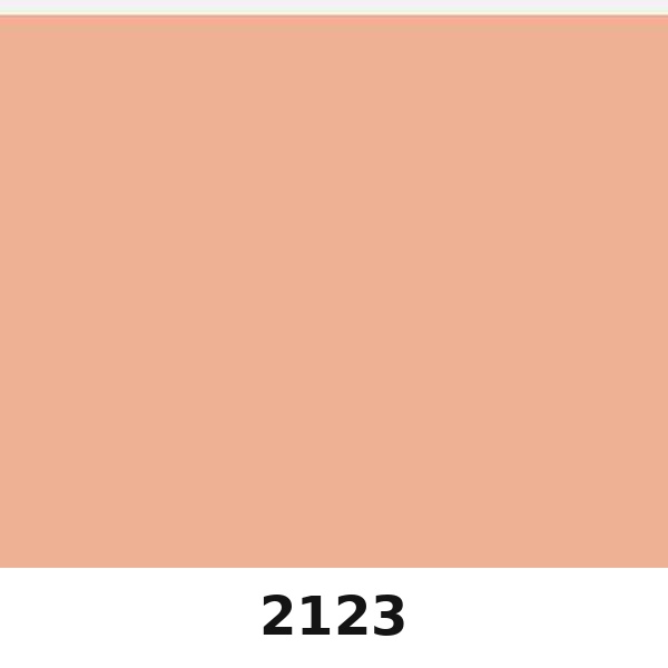Màu mã 2123 | QMNT 576