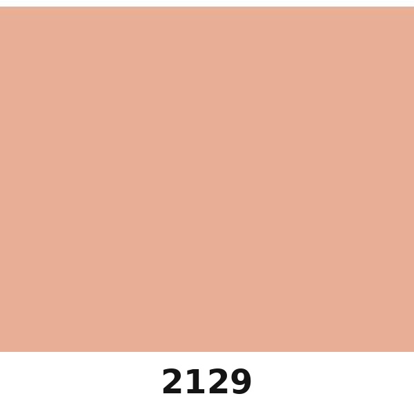 Màu mã 2129 | QMNT 576